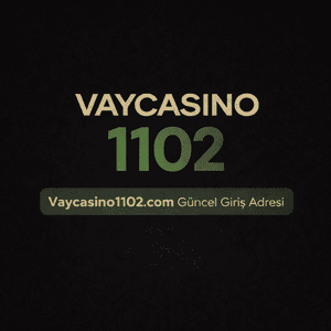 vaycasino1102
