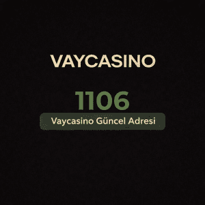 vaycasino1106