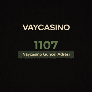 vaycasino1107