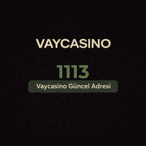 vaycasino1113