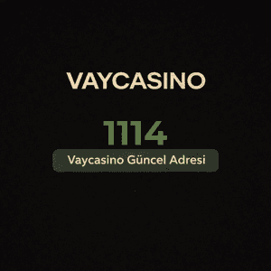 vaycasino1114
