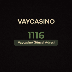 vaycasino1116