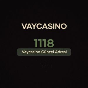 vaycasino1118