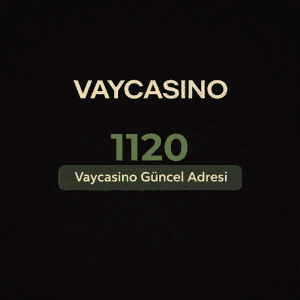 vaycasino1120