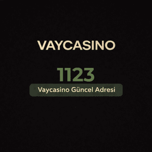 vaycasino1123