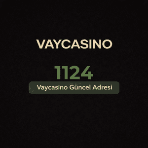 vaycasino1124