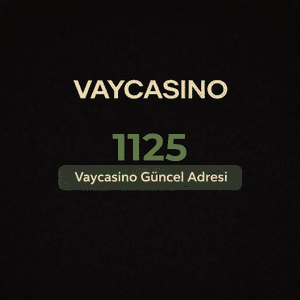 vaycasino1125