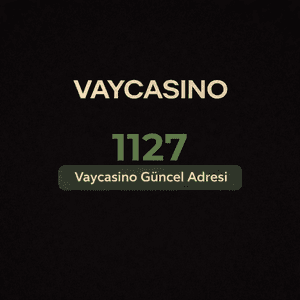 vaycasino1127